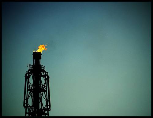 Los científicos planean explotar las reservas de petróleo con microorganismos