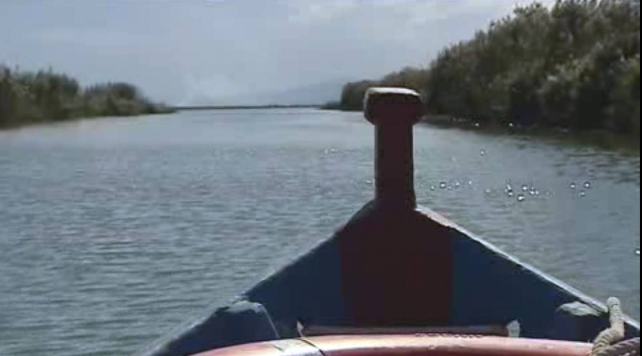 Albufera de Valencia
