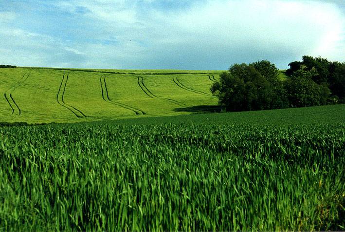 Analizan la emisión de CO2 que produce la agricultura moderna