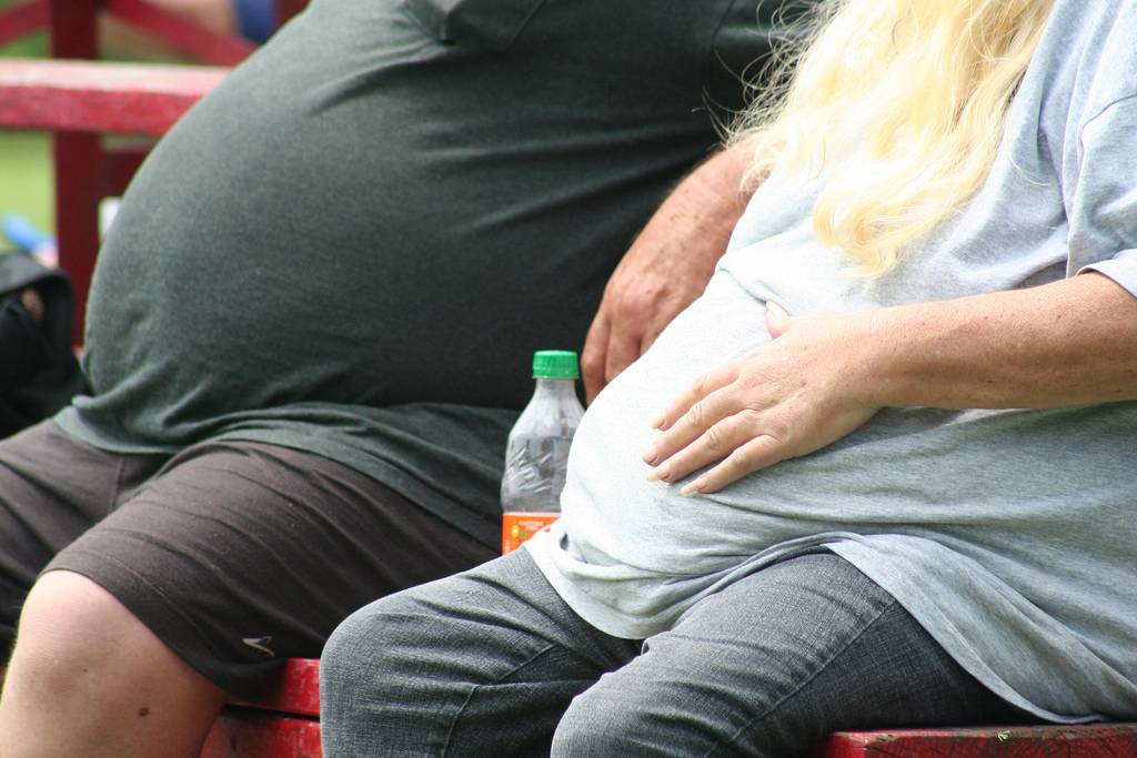 Casi un tercio de la población mundial es obesa o tiene sobrepeso