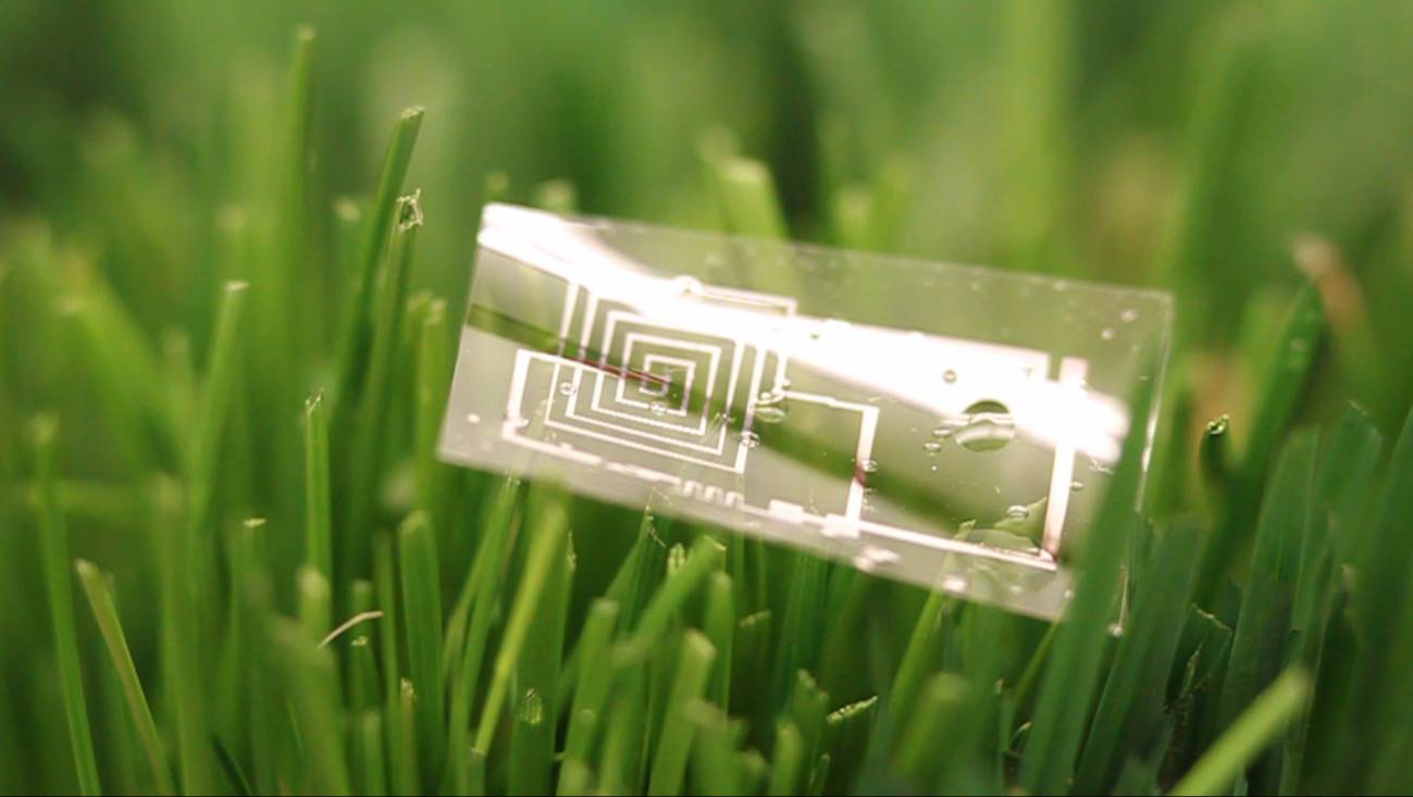 Implantes absorbidos por el cuerpo