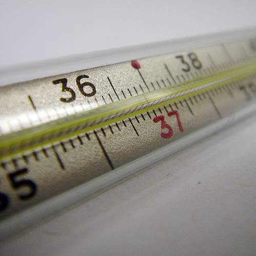 ¿Cómo interactúa la molécula de la fiebre?