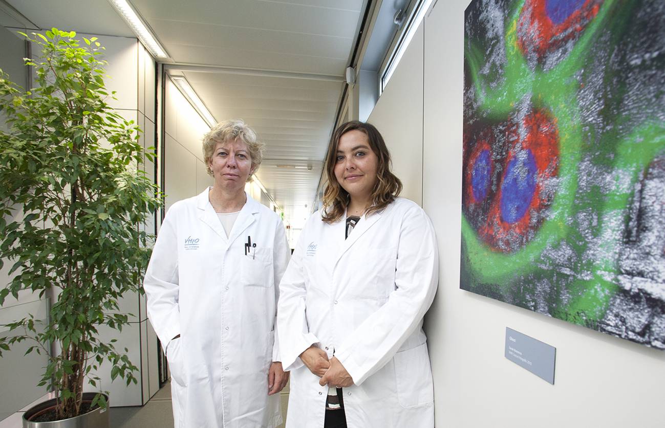 Describen un mecanismo de resistencia a fármacos contra el cáncer de pulmón