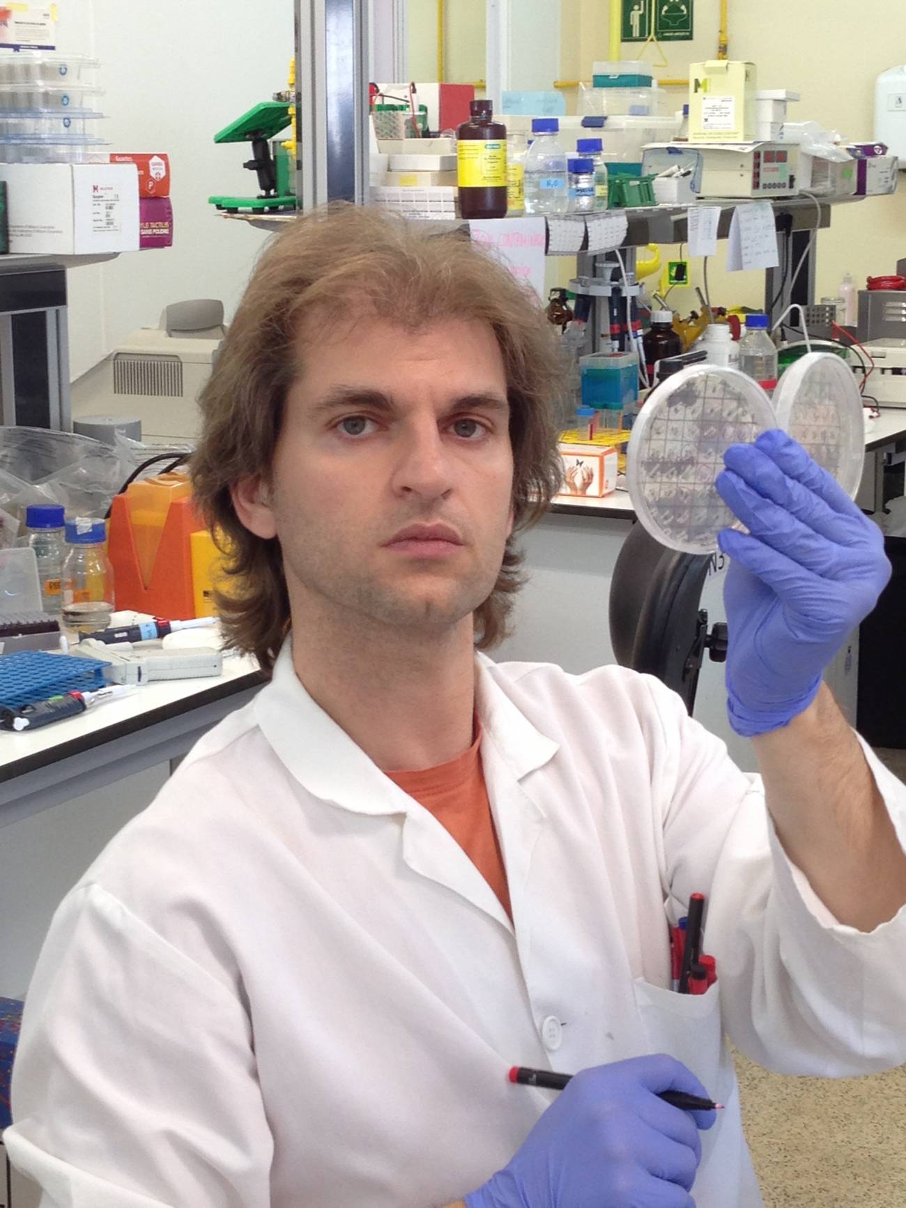Descubierta la mutación por la que bacterias de la tuberculosis se especializan en la infección