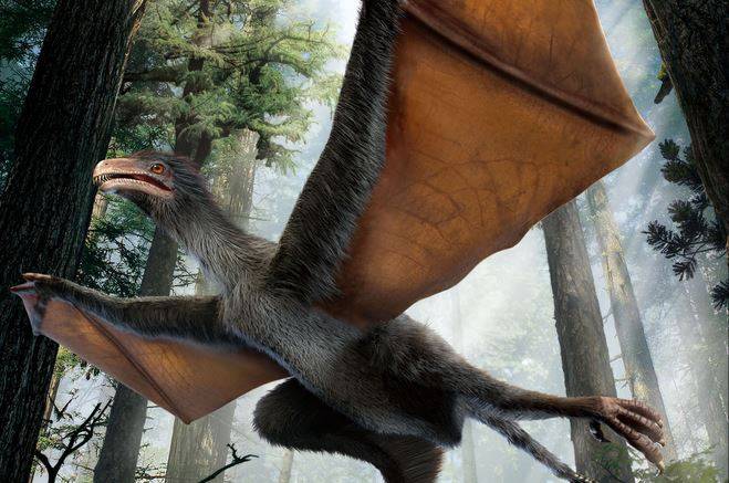 Descubierto un pequeño dinosaurio chino con alas de murciélago