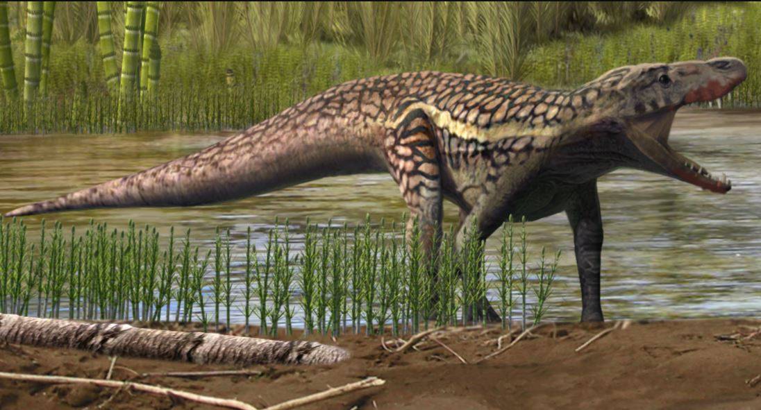 Reconstrucción artística de un arcosauromorfo. Autor: Oscar Sanisidro / Institut Català de Paleontologia Miquel Crusafont