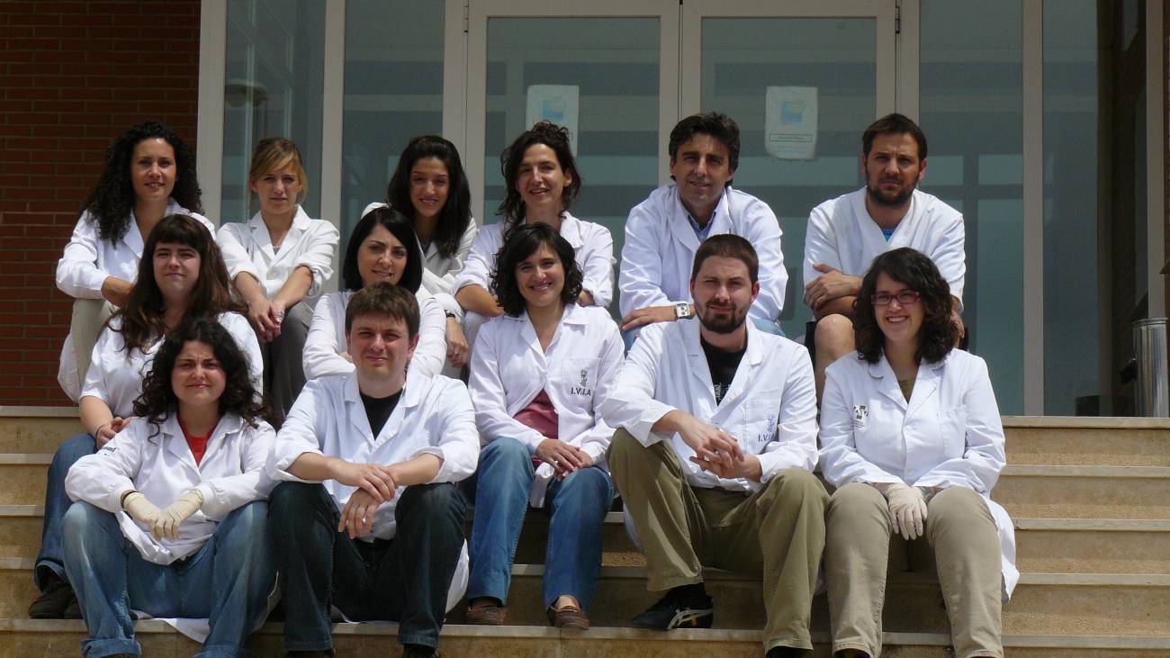 Descubren un mecanismo de las bacterias para provocar infecciones