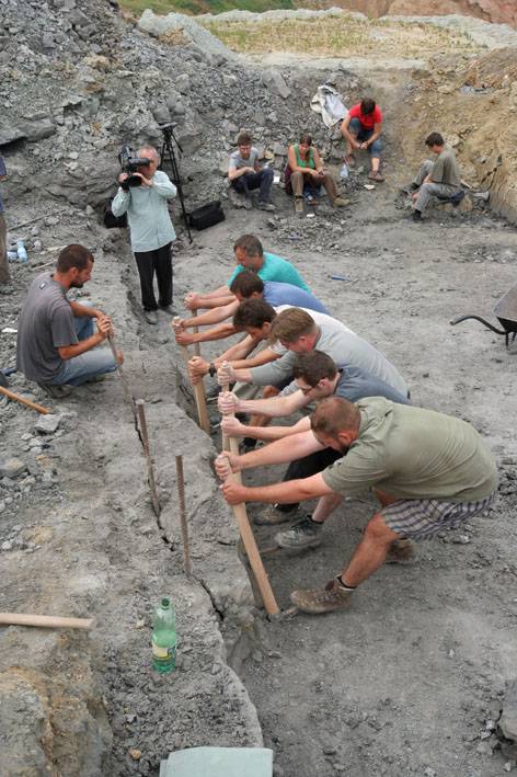 Descubren un nuevo dinosaurio herbívoro que pudo viajar de isla en isla de Asia a Europa