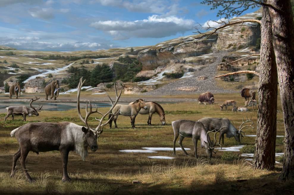 Desvelado el menú de la antigua megafauna ártica