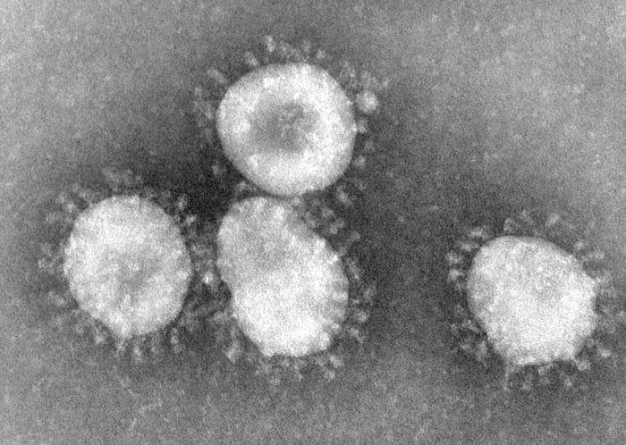 Diez años después del SARS descubren el mecanismo de infección del nuevo coronavirus