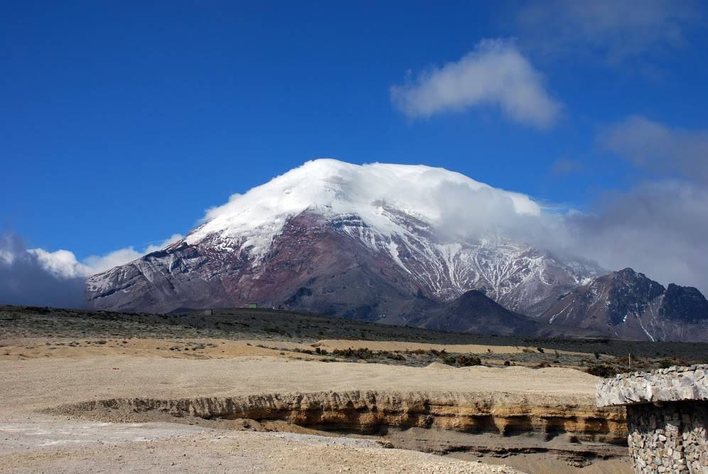 El cambio climático empuja las plantas tropicales hacia las cumbres 