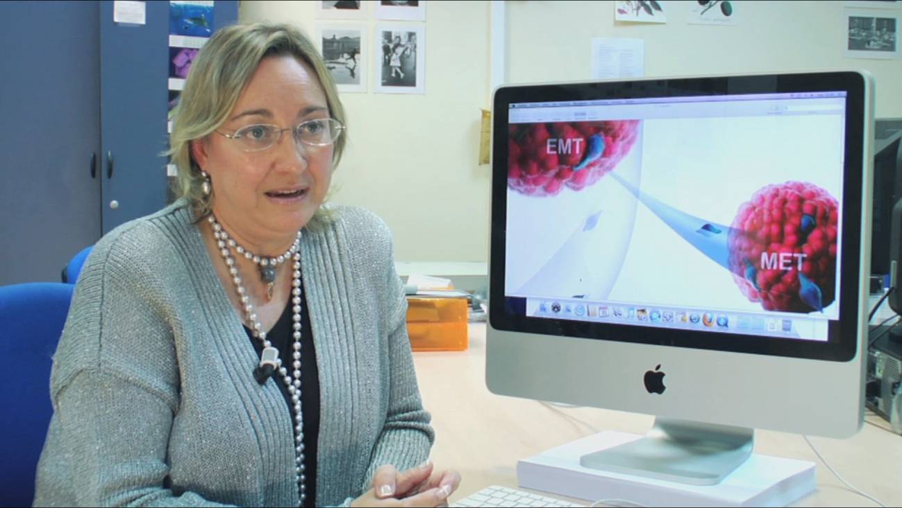 Ángela Nieto, científica del Instituto de Neurociencias 