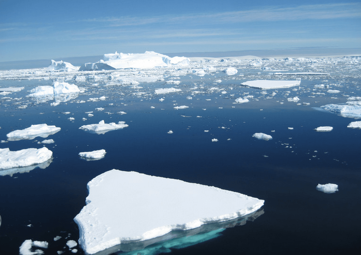 Icebergs flotan en el océano Antártico. / Science