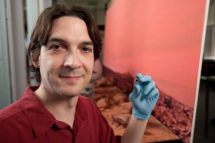 El meteorito marciano más antiguo tiene 500 millones de años menos de lo estimado