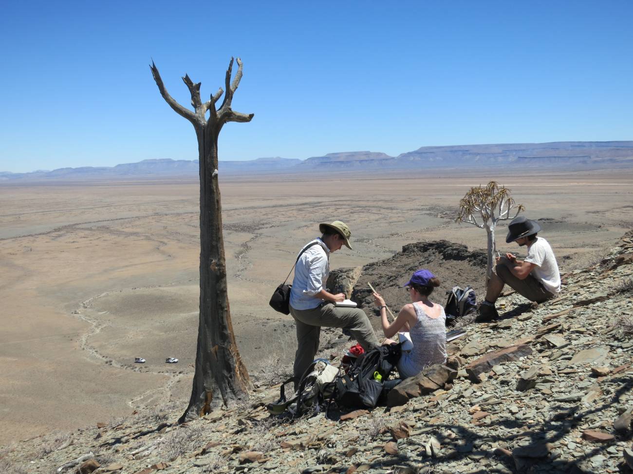 Hallan en Namibia un arrecife construido por animales hace 548 millones de años