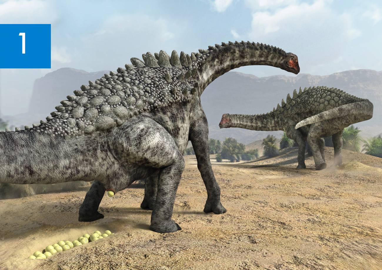 Huevos fósiles de dinosaurios del yacimiento de Coll de Nargó, Lleida