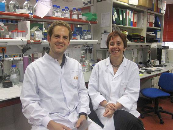 Investigadores españoles logran que las células del melanoma se autodestruyan
