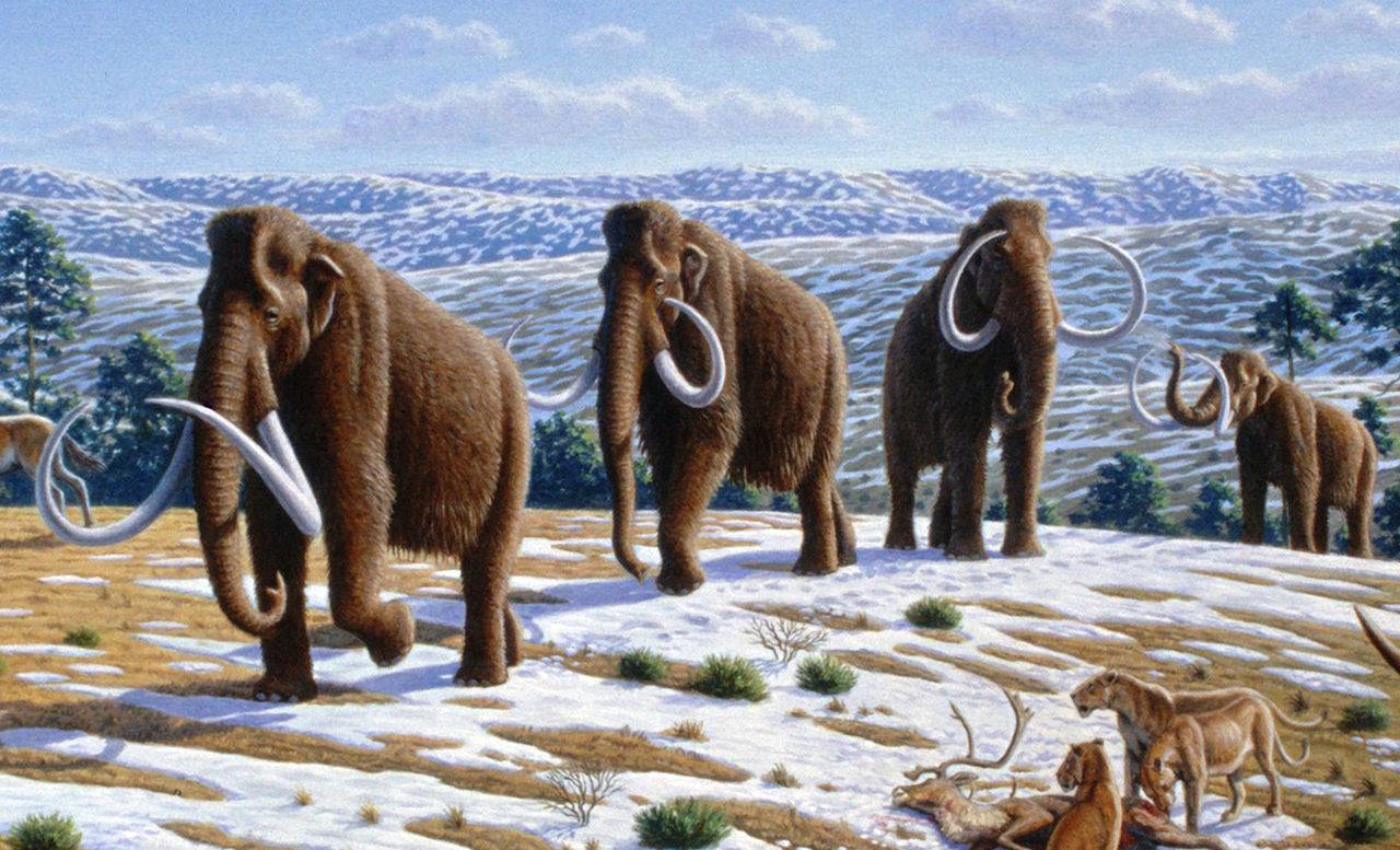 La humedad impulsó la extinción de la megafauna de la Edad de Hielo