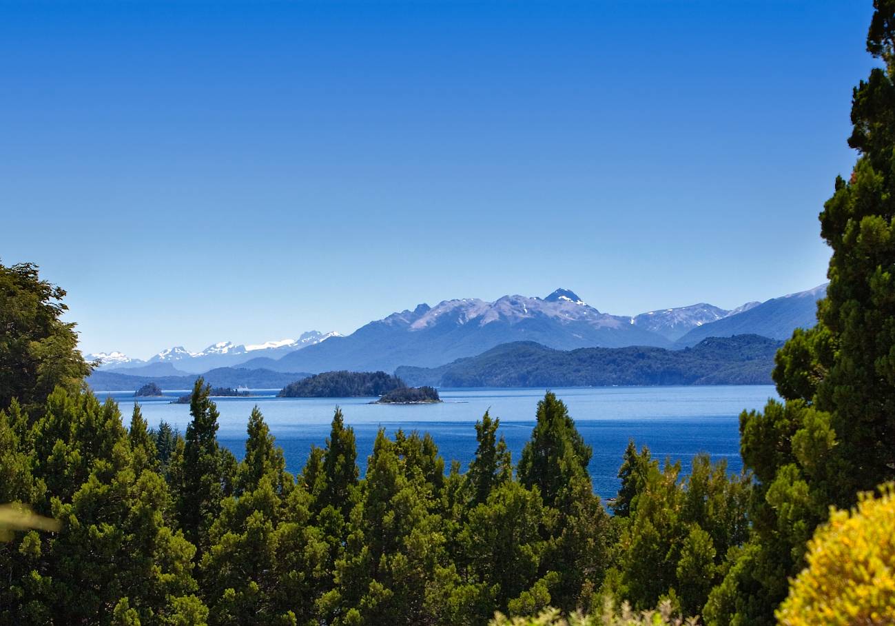 La mano del hombre sobre los bosques calienta la Tierra