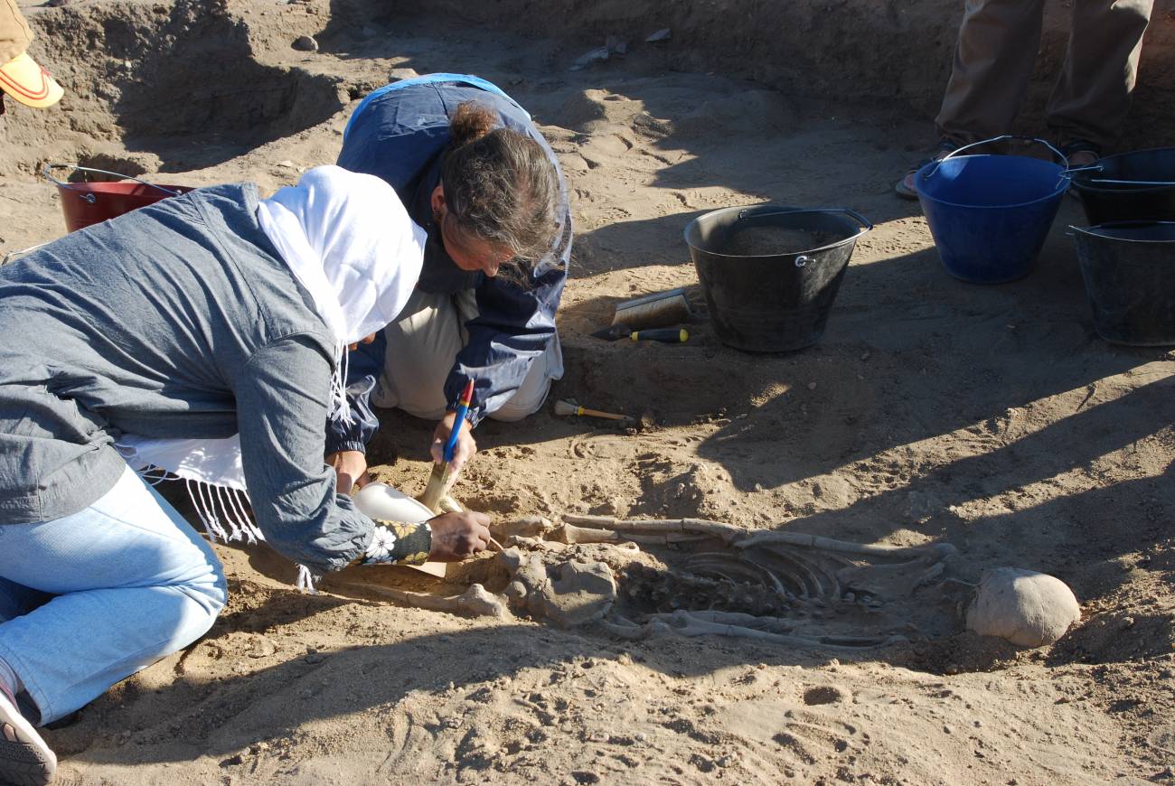 La placa dental prueba que los humanos prehistóricos comían plantas antes de la agricultura
