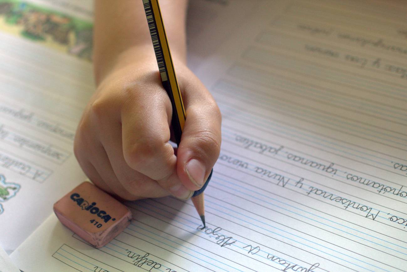Las destrezas matemáticas y lectoras de los niños comparten base genética