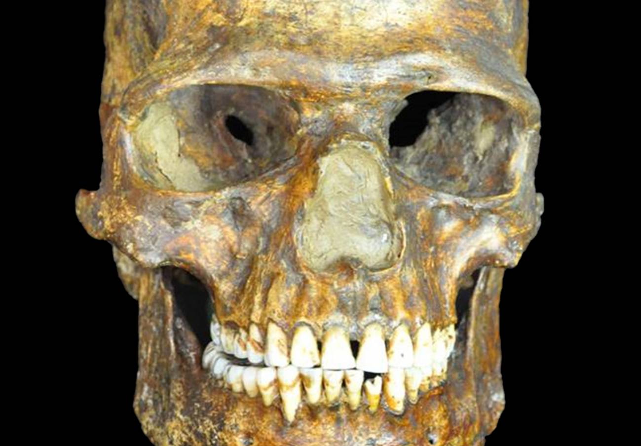 Los ancestros de los primeros europeos sobrevivieron a la última glaciación
