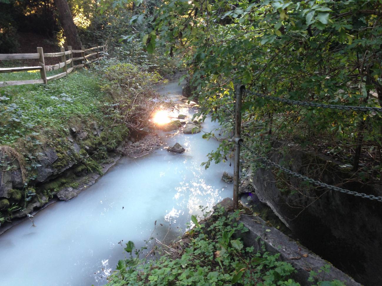 Los contaminantes orgánicos dañan los ecosistemas de agua dulce en toda Europa