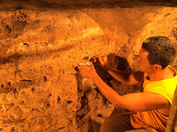 Los humanos ya se alimentaban de cereales hace 100.000 años