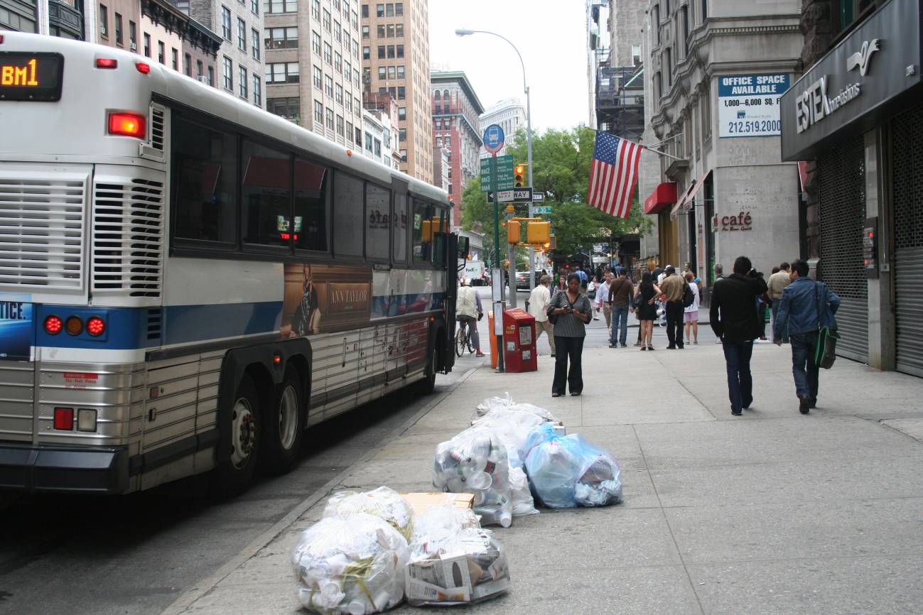 Los insectos de Nueva York eliminan la basura de las calles 