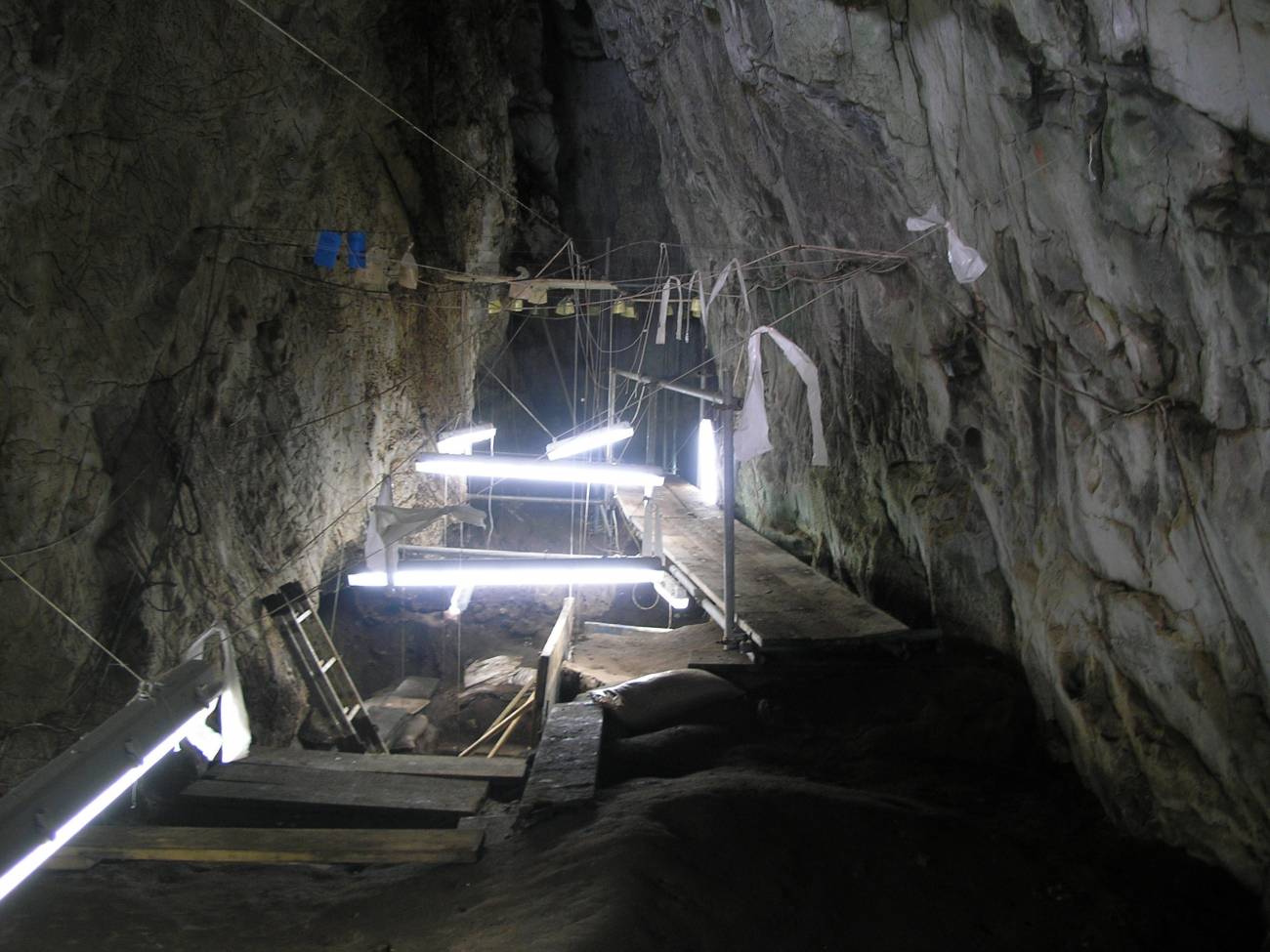 Los neandertales también cazaban mamíferos marinos