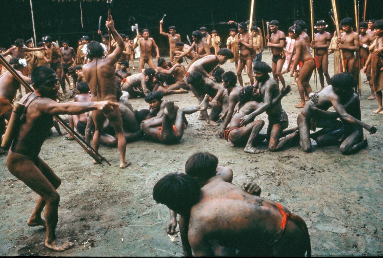 Los yanomami del Amazonas forman bandas de cuñados para hacer la guerra