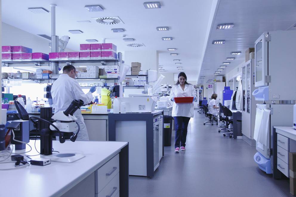 laboratorios IDIBAPS