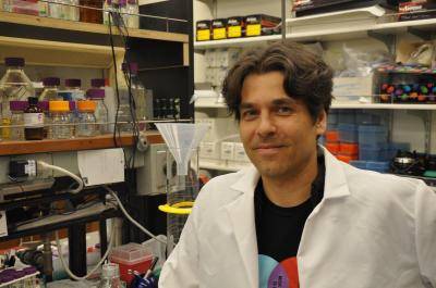 Obtienen una sustancia química para ayudar a las plantas a afrontar la sequía 