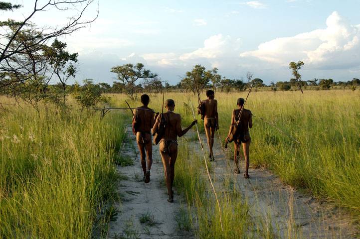 Secuencian los genomas de individuos vivos del sur de África para determinar su predisposición a enfermedades