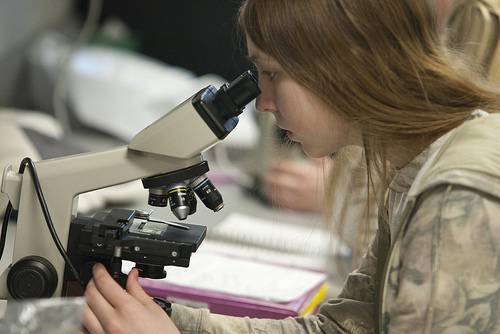 Un curso escolar sobre las causas del tabaquismo gana un premio en 'Science'