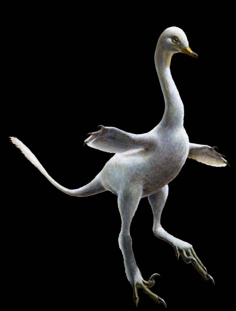 Un dinosaurio parecido a un pato con cuello de cisne y aletas de pingüino