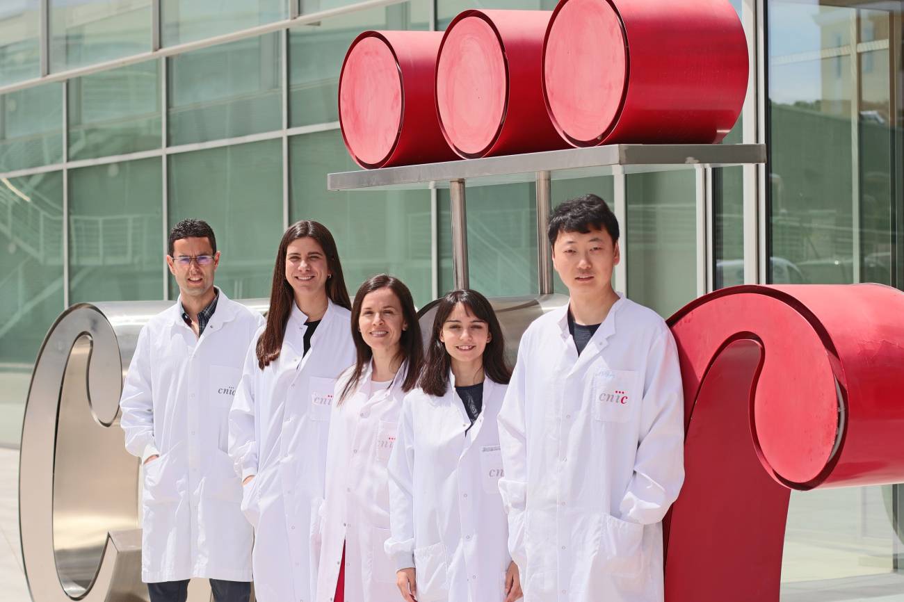 investigadores