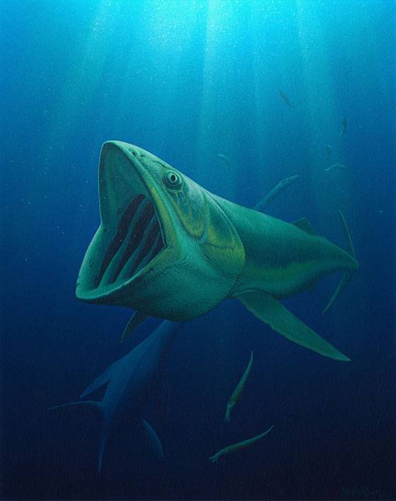 Unos peces gigantescos que vivieron durante 100 millones de años precedieron a las ballenas modernas