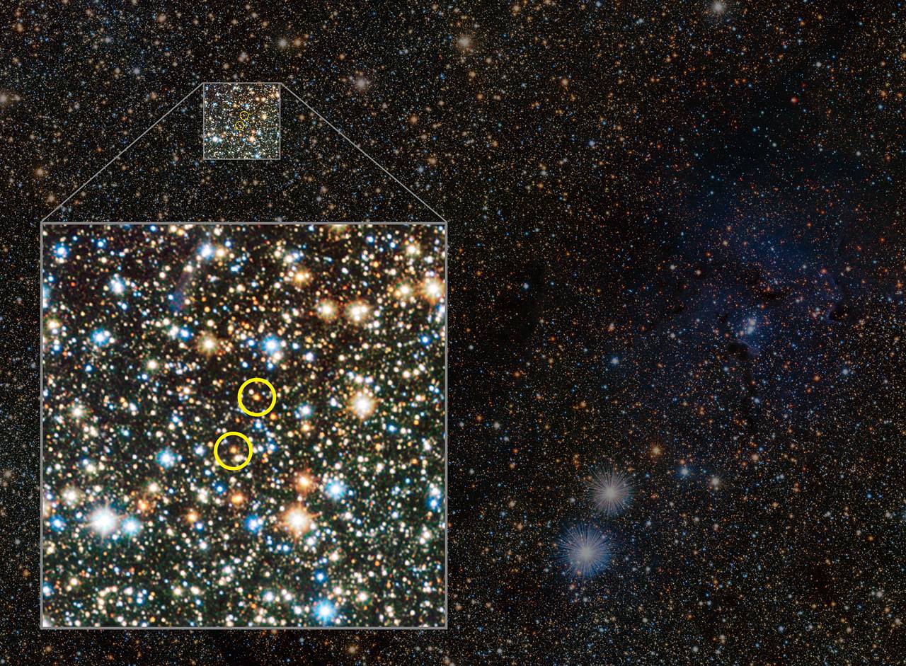 VISTA descubre dos estrellas variables detrás de la nebulosa Trífida