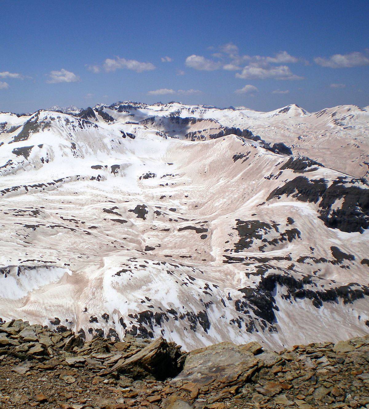 El polvo del desierto cambia los indicadores climáticos de las plantas de montaña