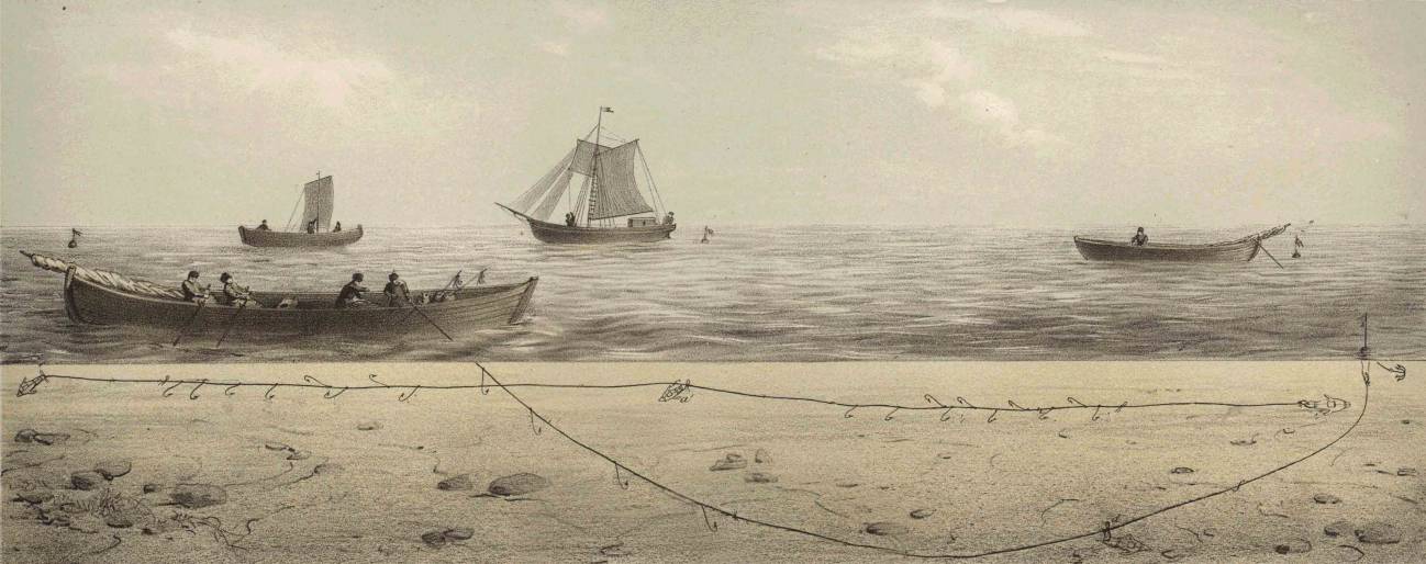Reconstruyen la historia de la vida de los océanos
