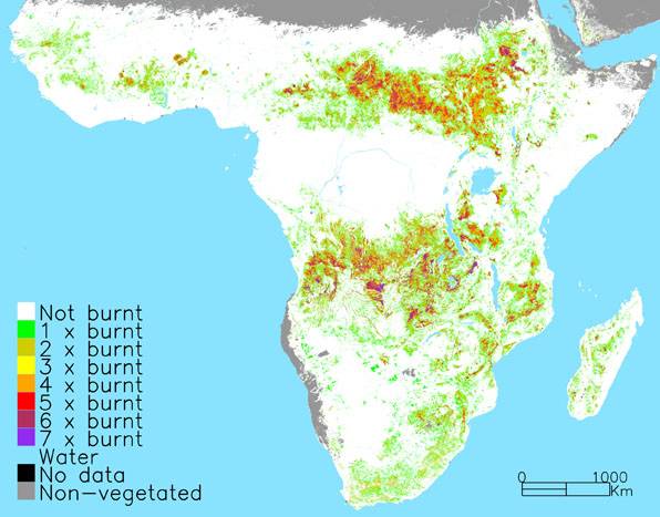 Un mapa de la tierra revela que se queman hasta 4,5 millones de km² de bosques cada año