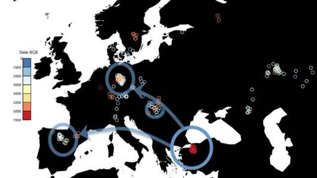 8.000 años de evolución en el genoma de los europeos