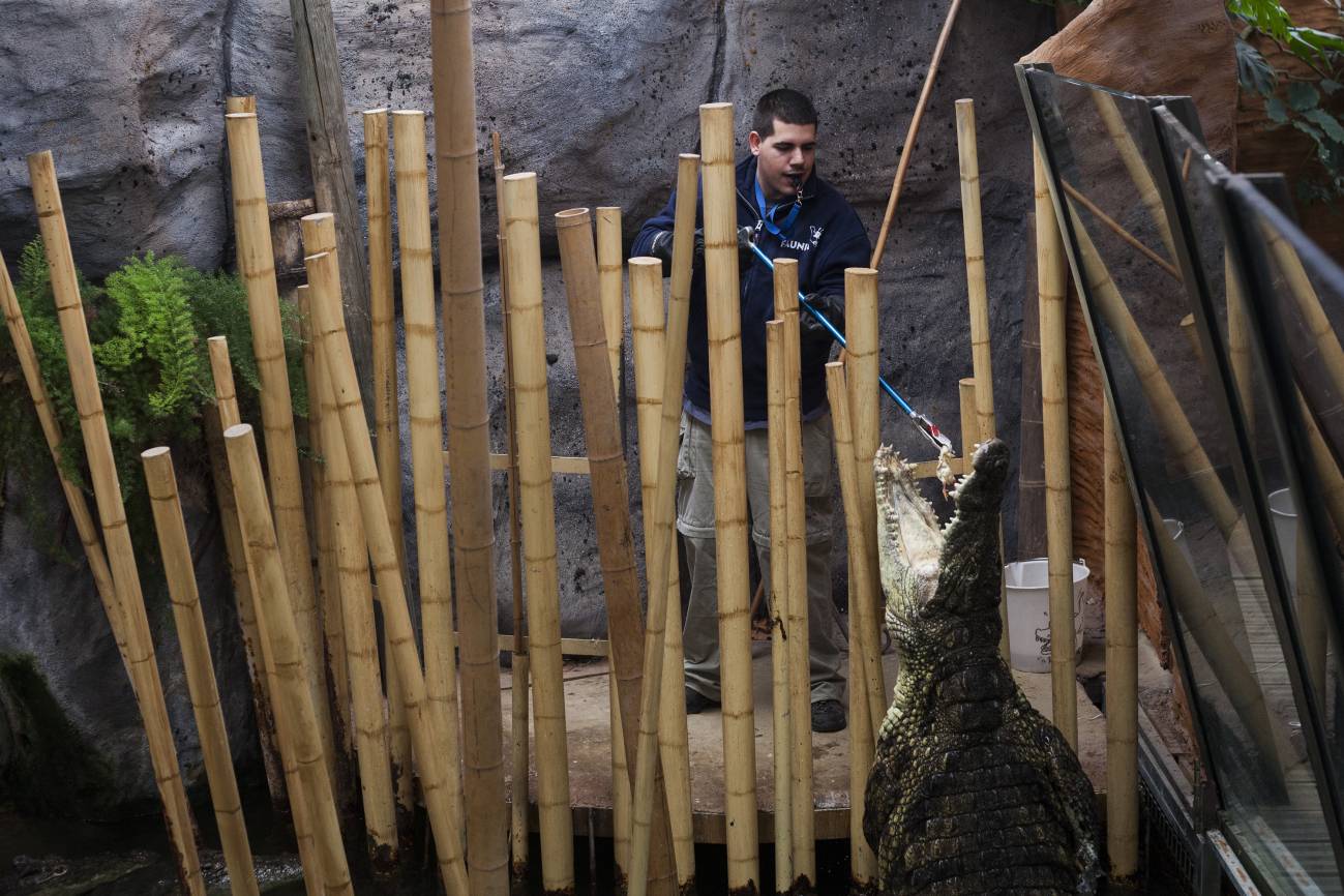 Así es un día entre cuidadores de animales salvajes
