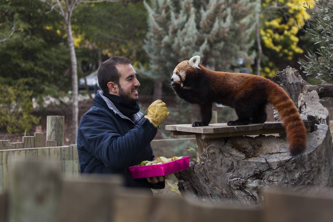 Así es un día entre cuidadores de animales salvajes
