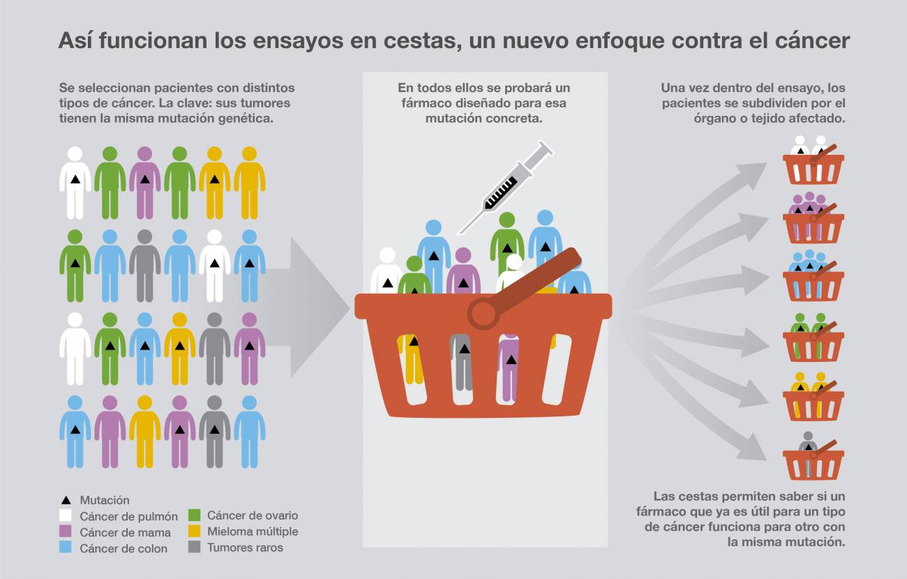 Así funcionan los ensayos en cestas