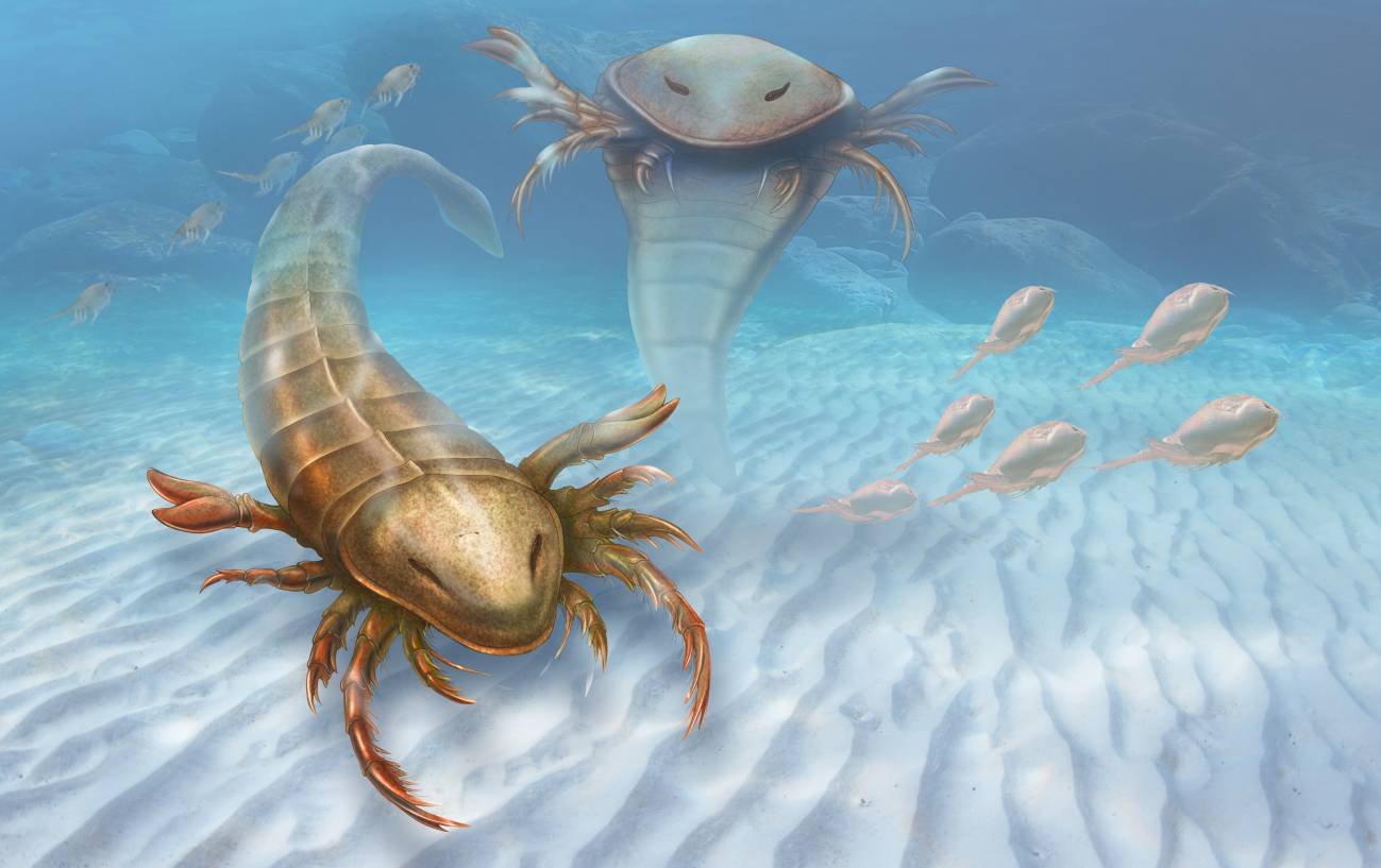 Descubren un ‘escorpión marino’ gigante