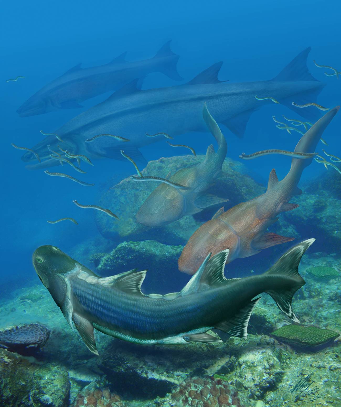 Descubren una nueva especie de pez de hace más de 400 millones de años