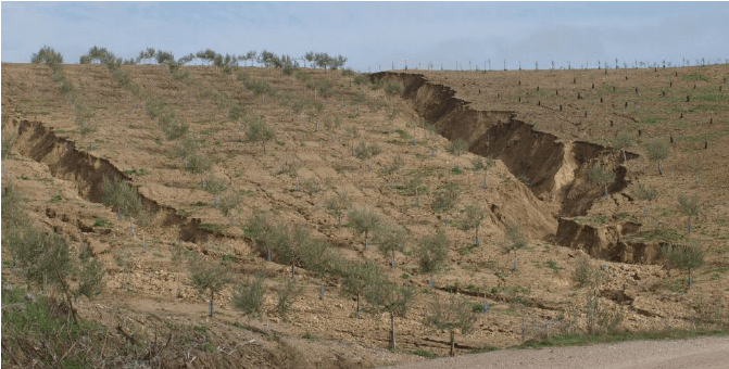 El 20% del paisaje español ya se ha desertificado