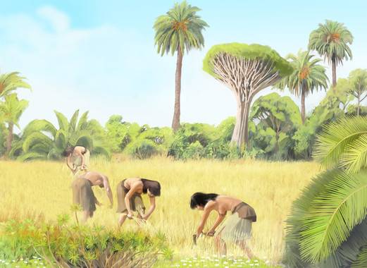 El ADN antiguo confirma el origen de los primeros colonizadores de Canarias